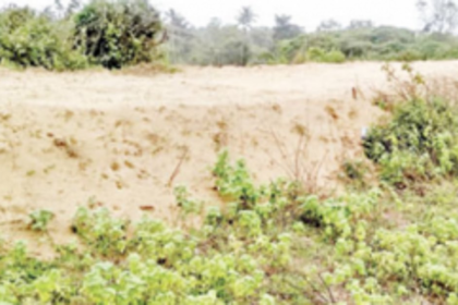 Environmental & Sand Dune Protection