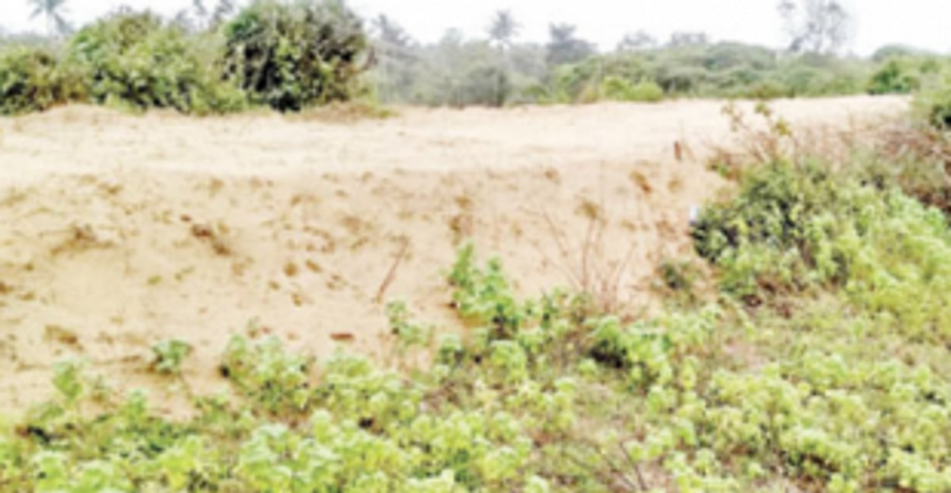 Environmental & Sand Dune Protection