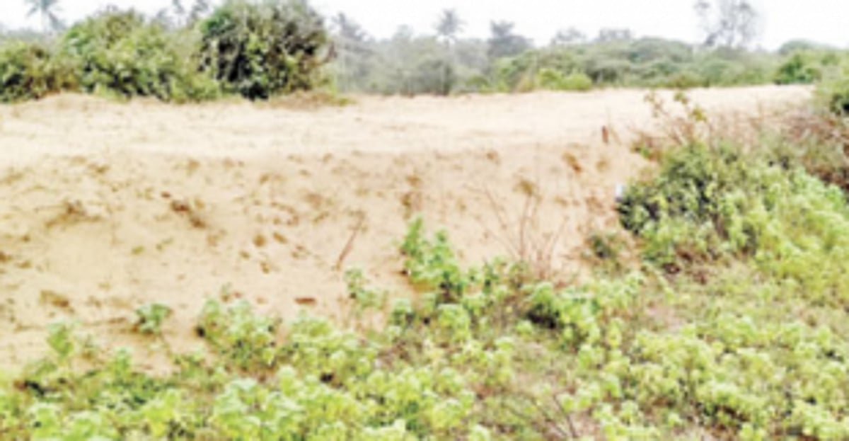 Environmental & Sand Dune Protection