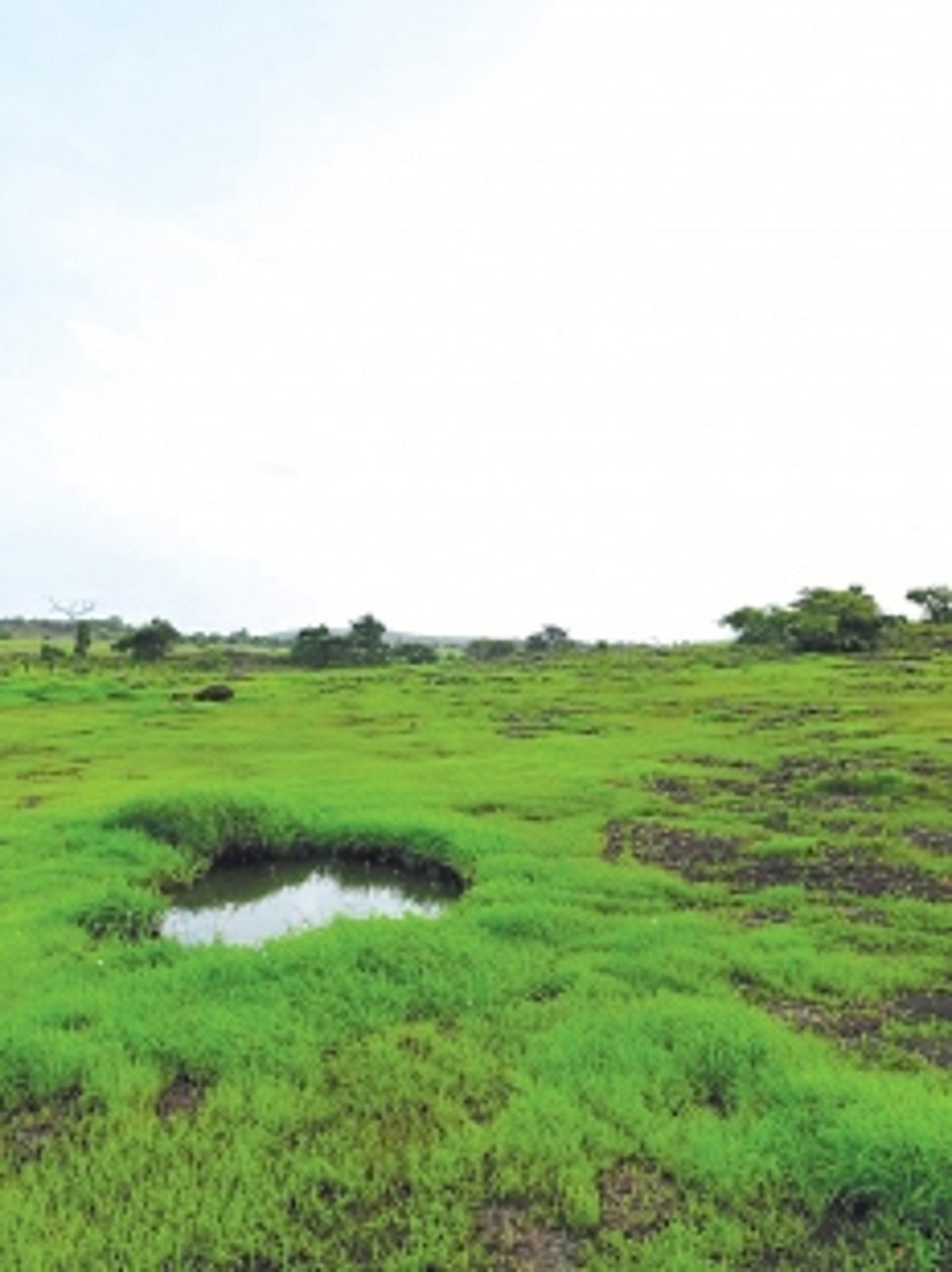 Environmental concerns escalate as locals oppose waste treatment plant on Verna plateau