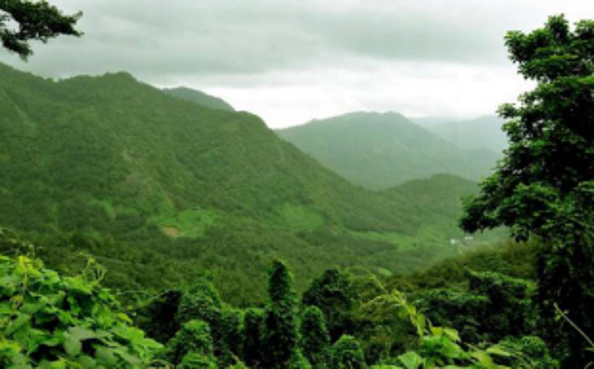 Environmental warriors rise to protect eco-sensitive villages