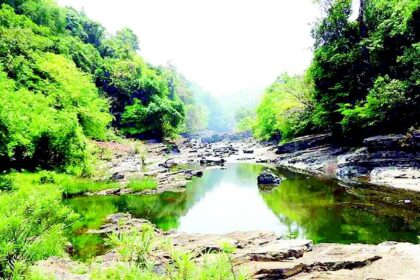 Environmentalist Rajendra Kerkar says Goa govt in a holiday mood on Mhadei