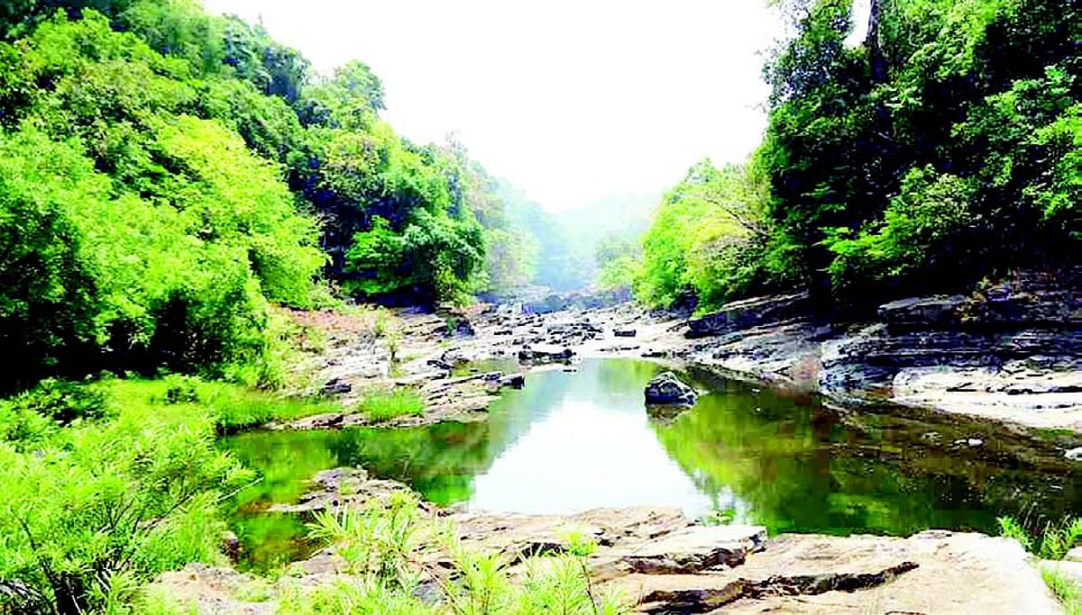 Environmentalist Rajendra Kerkar says Goa govt in a holiday mood on Mhadei