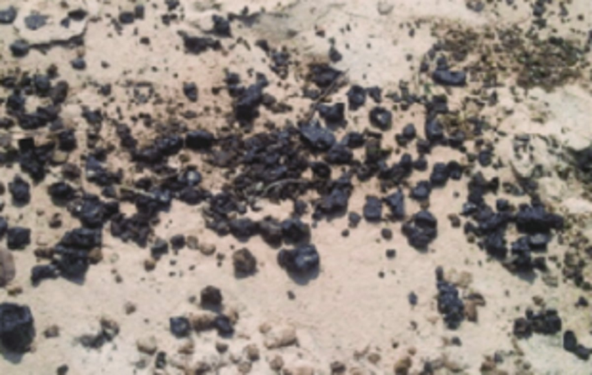 Environmentalist claims spotting tar balls on Benaulim beach, locals deny