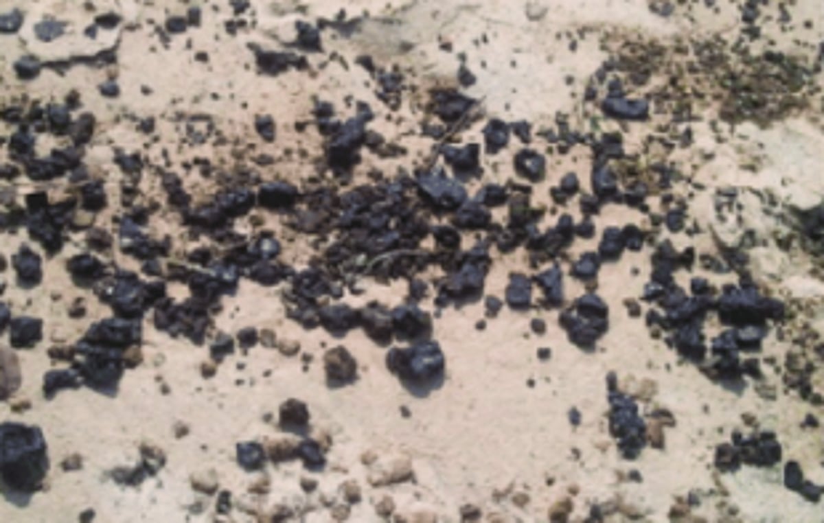 Environmentalist claims spotting tar balls on Benaulim beach, locals deny