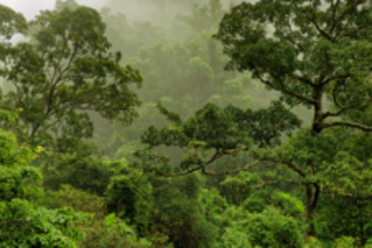 Environmentalist grooms youth  on how to save environment