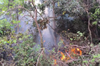 Environmentalist, locals stop fire from spreading to hillock at Curtorim