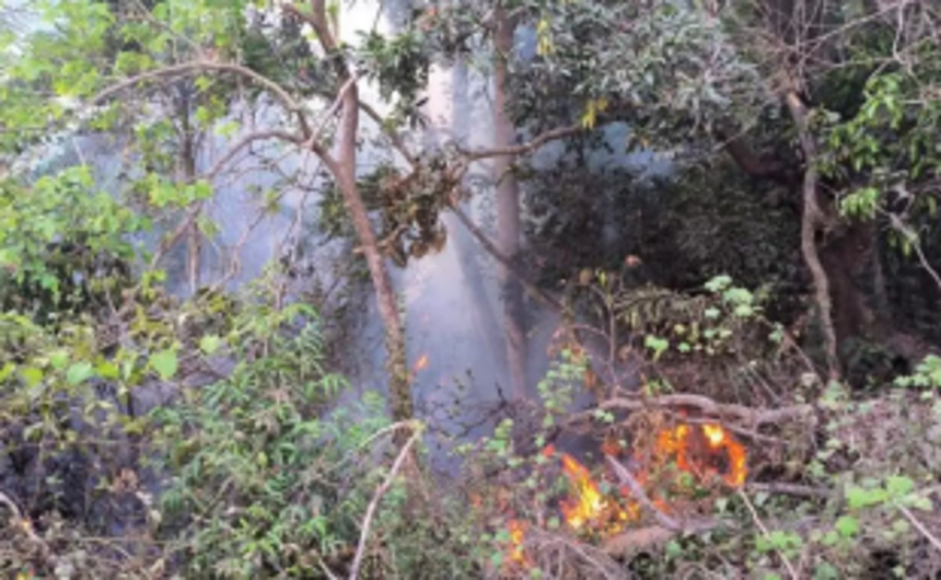 Environmentalist, locals stop fire from spreading to hillock at Curtorim