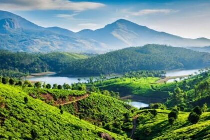 Environmentalists Oppose Goa's Bid to Remove Villages from Eco Sensitive List