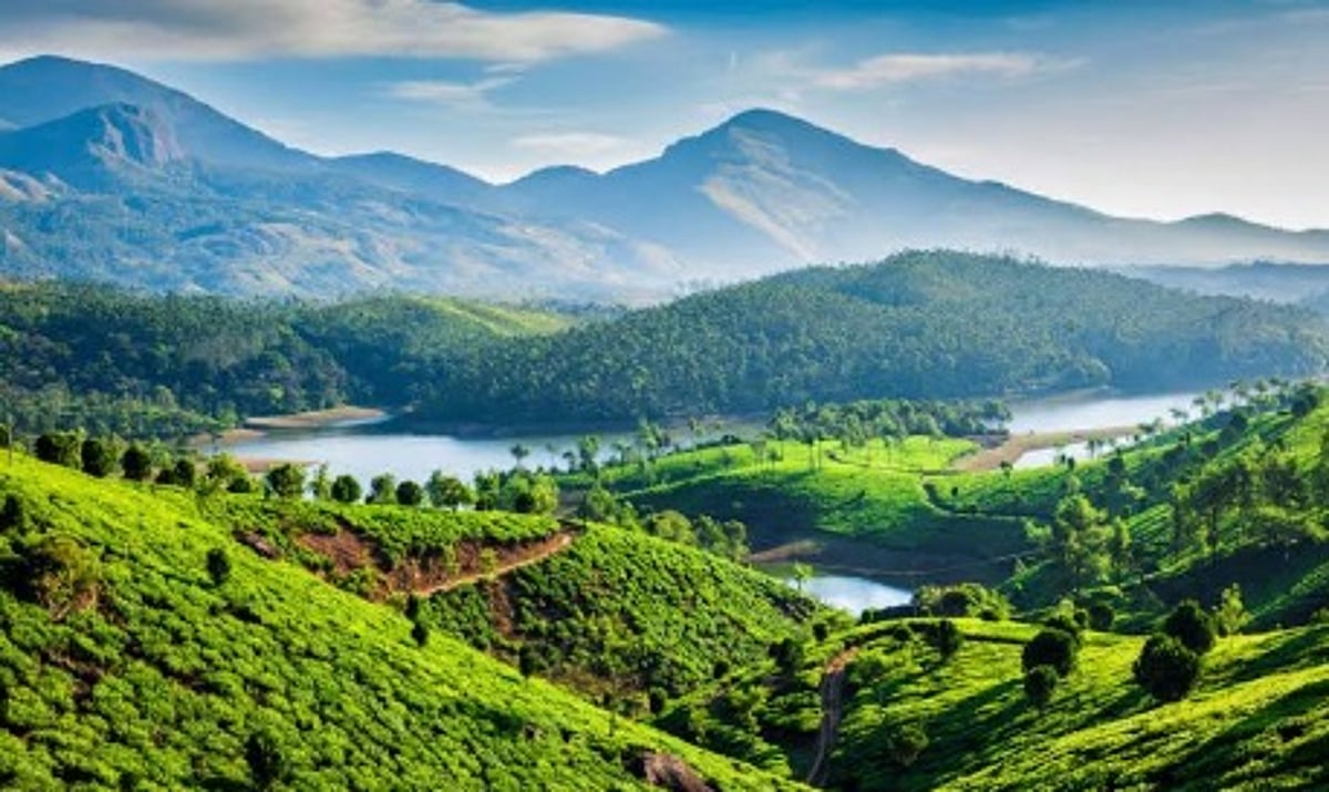Environmentalists Oppose Goa's Bid to Remove Villages from Eco Sensitive List