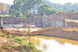 Environmentalists have raised concern about the blockage of River Sal near the wholesale fish market in Madel