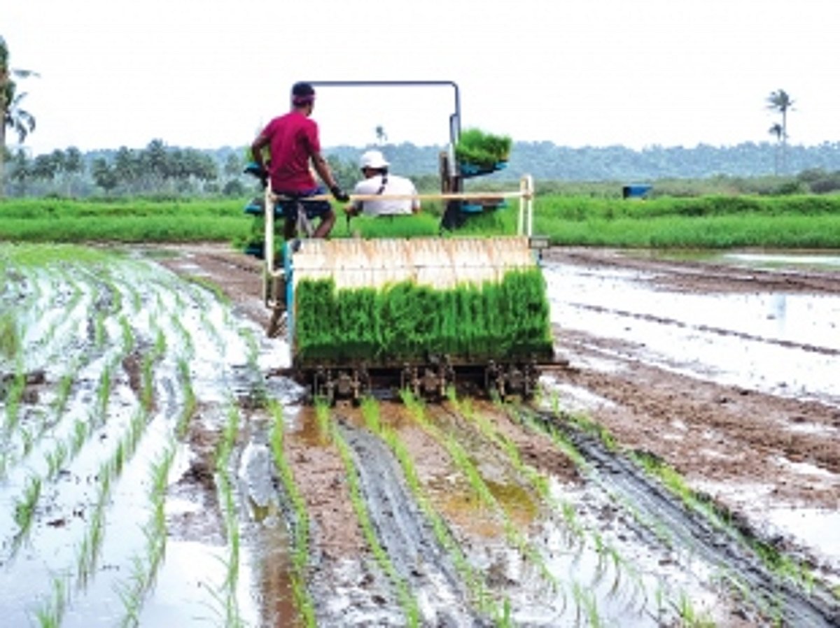 Erratic rainfall patterns worry farmers growing monsoon vegetables & kharif paddy