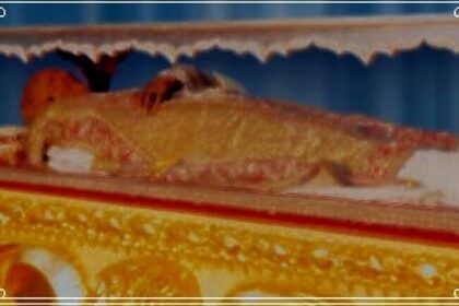 Eucharistic celebration to mark opening of 18th Exposition of St Francis Xavier’s relics on Nov 21