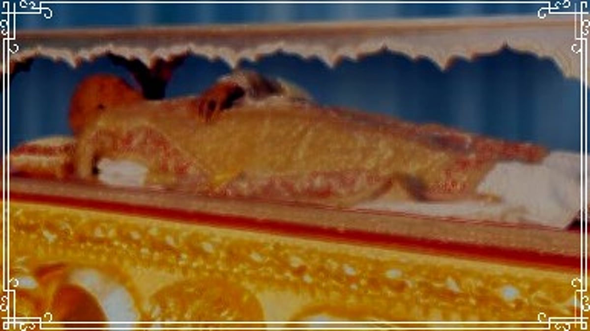 Eucharistic celebration to mark opening of 18th Exposition of St Francis Xavier’s relics on Nov 21