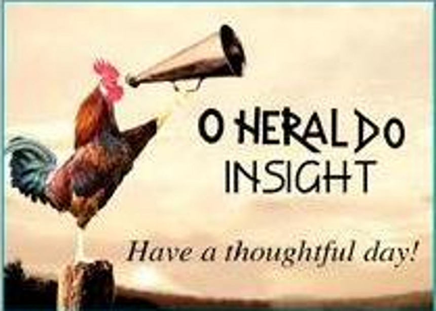 Every Goan should be in politics and so am I, for the people of Goa