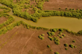 Excluded springs, khazans in Curtorim to now be part of Goa’s first Biodiversity heritage site