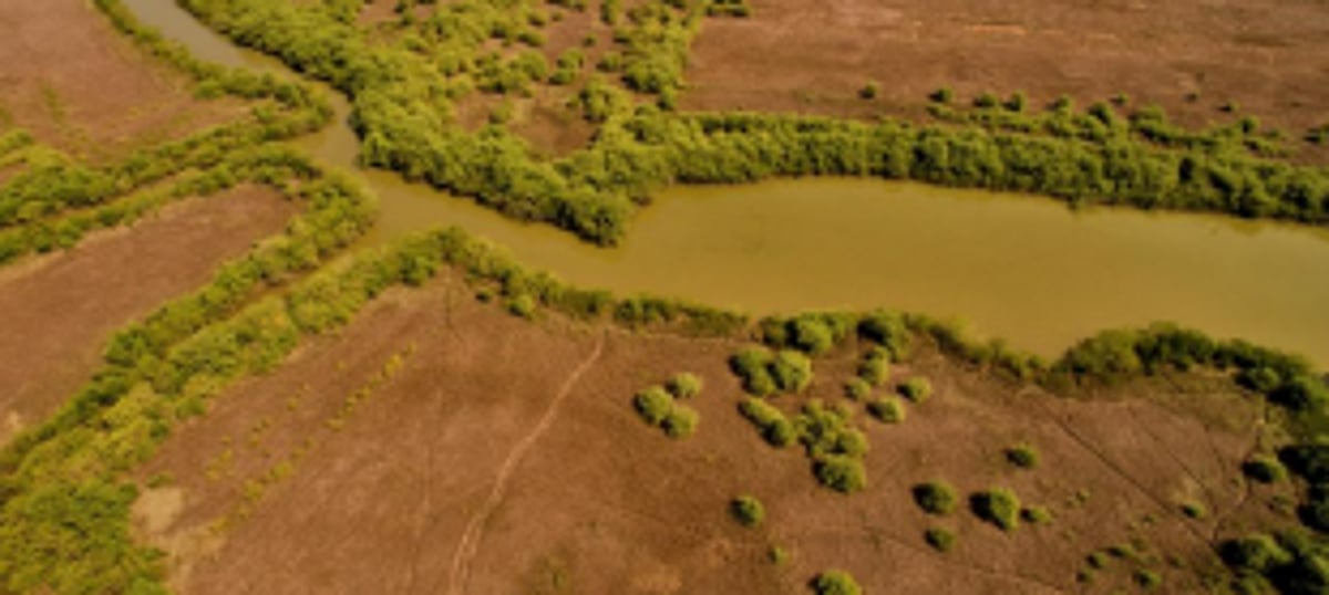 Excluded springs, khazans in Curtorim to now be part of Goa’s first Biodiversity heritage site