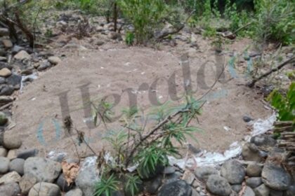 Exclusive - Illegal Sand Mining in the Heart of Mhadei Wildlife Sanctuary