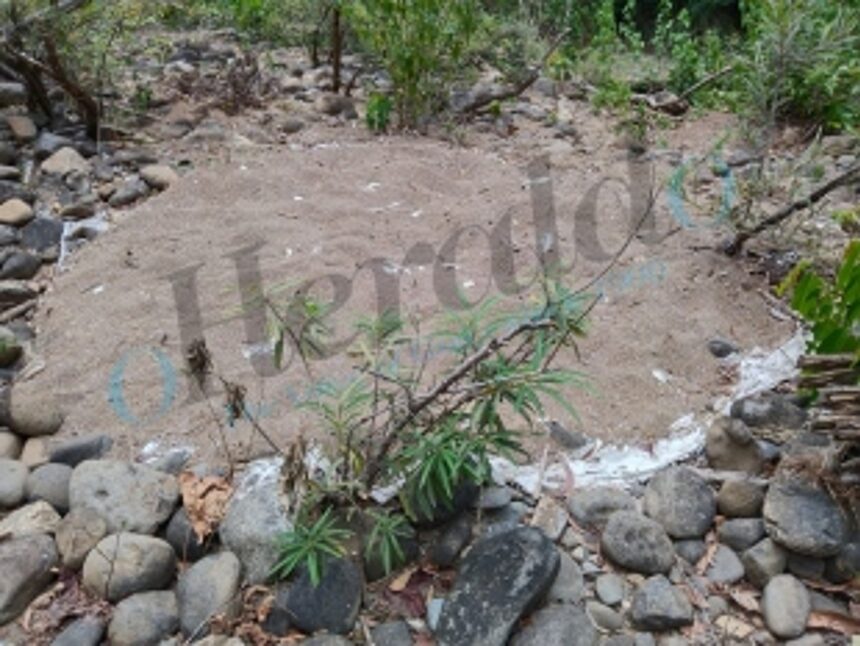 Exclusive - Illegal Sand Mining in the Heart of Mhadei Wildlife Sanctuary