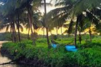 Experts Slam Goa's New Escheats Act for Lack of Clarity on Property Without Heirs