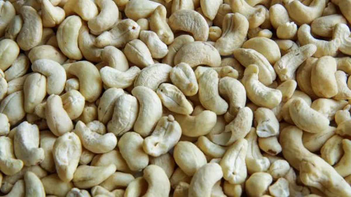 Experts Urge GI Tagging and Blockchain Tracking to Protect Authentic Goan Cashew Brands