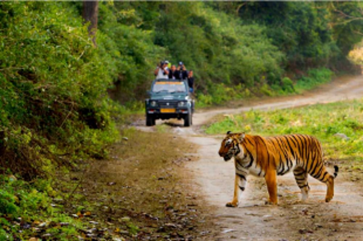 Experts await ‘Tiger Reserve’ tag for Mhadei Wildlife Sanctuary