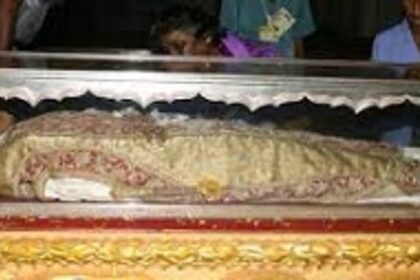 Exposition committee releases details of the exposition of the sacred relics of St. Francis Xavier