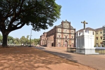 Extreme events, natural ecosystems and humankind: an introspection