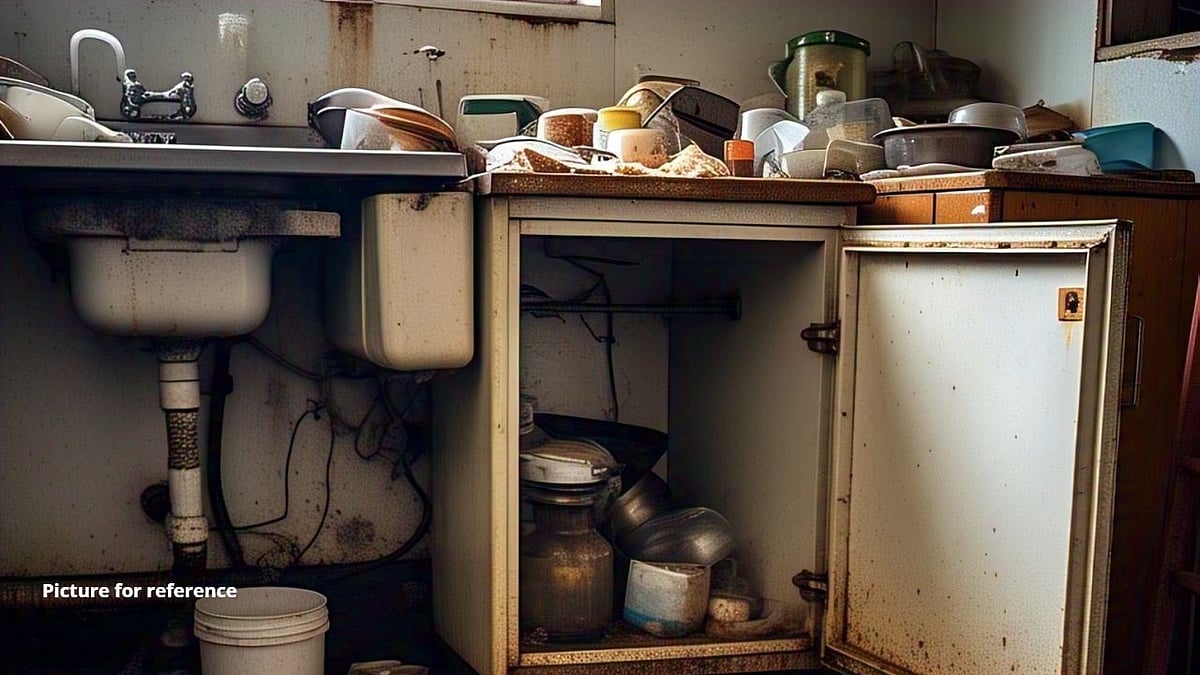 FDA Cracks Down on Unhygienic Kitchens in Tiswadi: Multiple Establishments Ordered to Shut Down