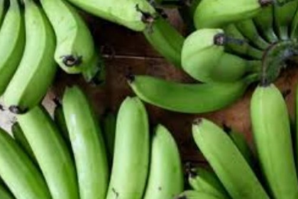 FDA Raid Breached: 1.5 Tonnes of Chemically Ripened Bananas Seized Again