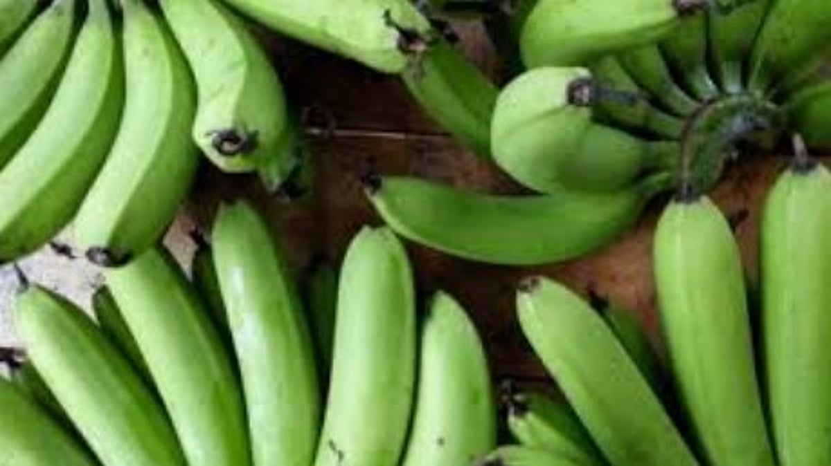 FDA Raid Breached: 1.5 Tonnes of Chemically Ripened Bananas Seized Again