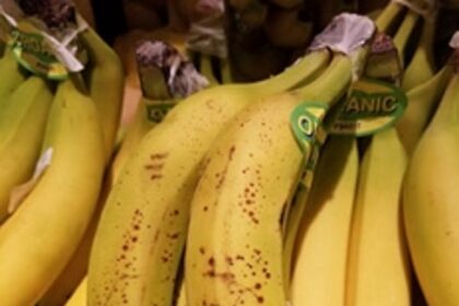FDA asked to crack down on  artificial ripening of bananas