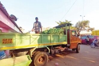 FDA officials raid Mapusa sub-yard, seize  800 kgs of chemically ripened bananas
