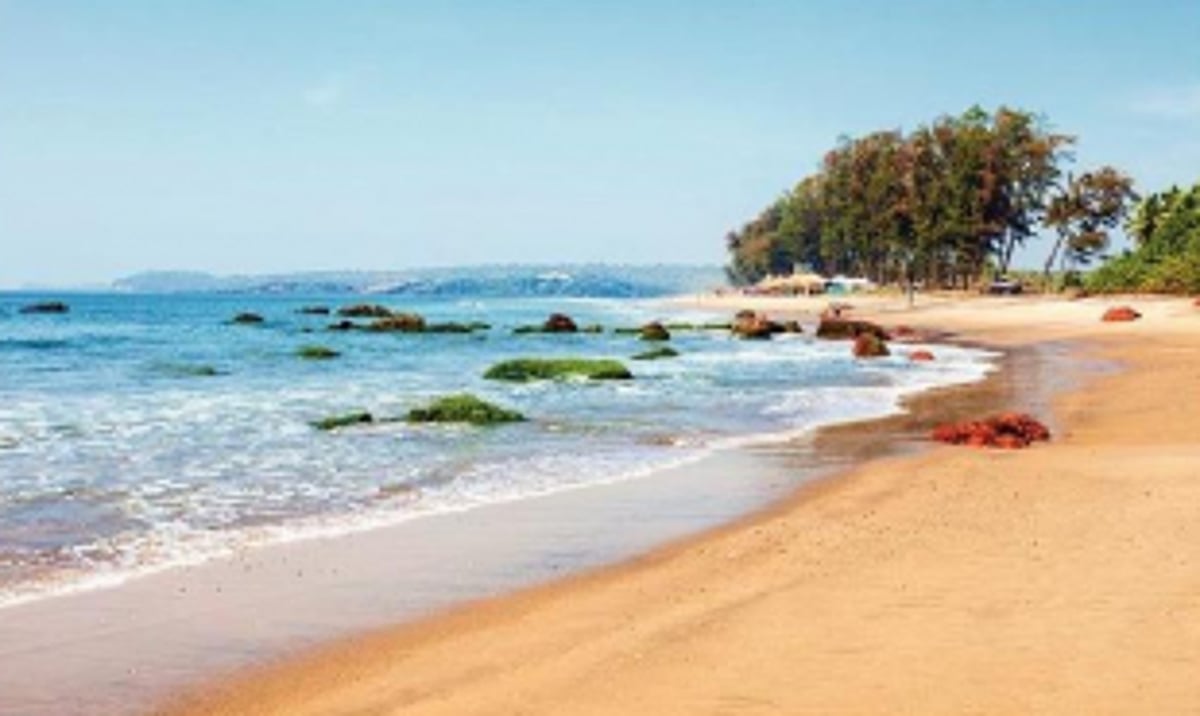 FINDING SOME BALANCE IN A CHANGING GOA