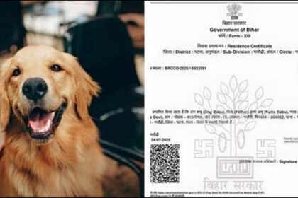 FIR After Patna Dog "Becomes Resident" With Fake Domicile