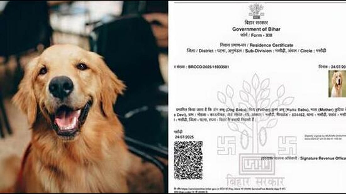 FIR After Patna Dog "Becomes Resident" With Fake Domicile
