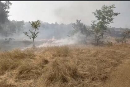 FIRE: Dry Grass Fire Near PHC Aldona Quickly Controlled, No Casualties Reported