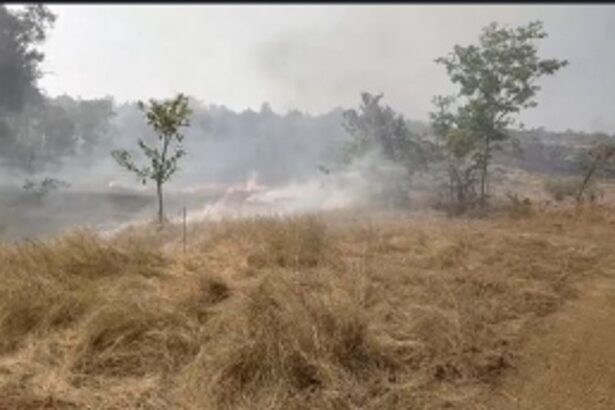 FIRE: Dry Grass Fire Near PHC Aldona Quickly Controlled, No Casualties Reported
