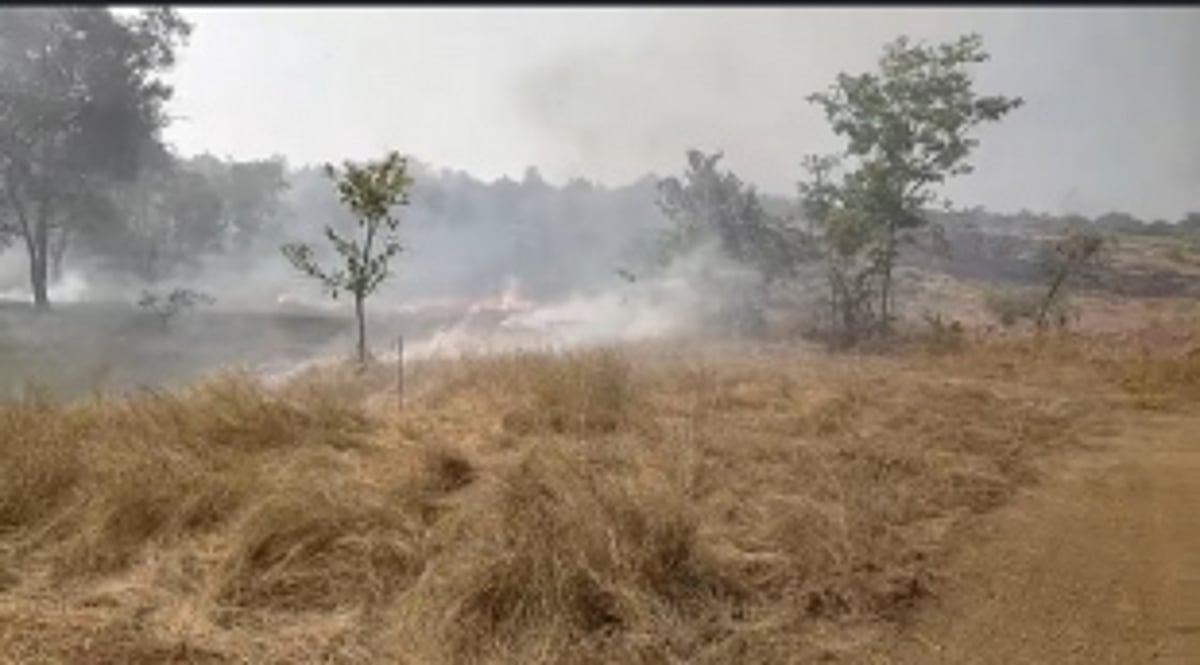 FIRE: Dry Grass Fire Near PHC Aldona Quickly Controlled, No Casualties Reported