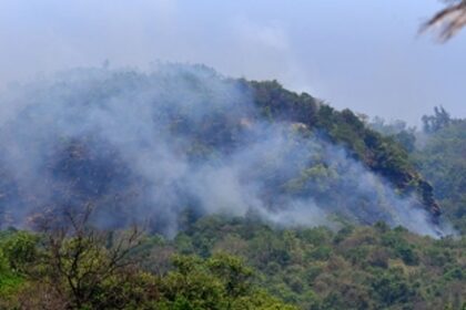 FIRE UPDATE: Infernos active at nine locations, says Forest Dept