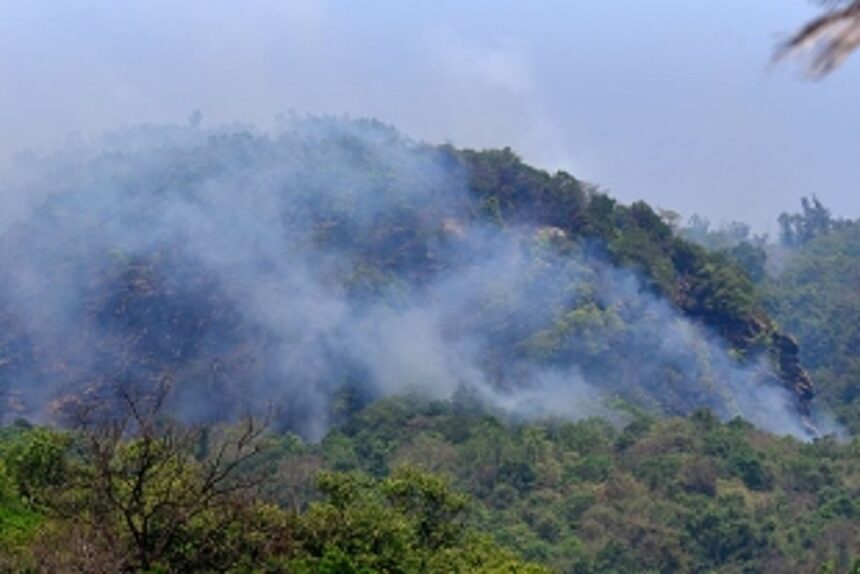 FIRE UPDATE: Infernos active at nine locations, says Forest Dept