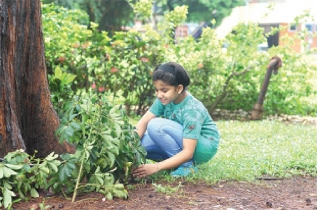 FIRM ROOTS FOR THE FUTURE?