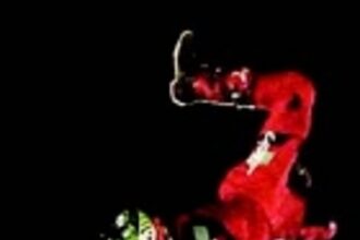 FMX stunt riders steal show at Supercross