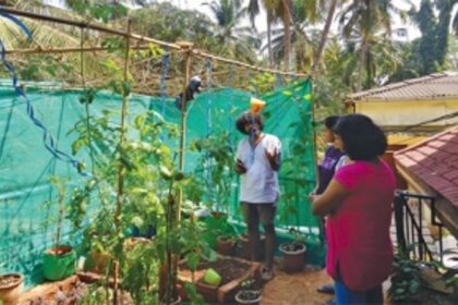 FOR SOME, HOME IS WHERE THE GARDEN IS