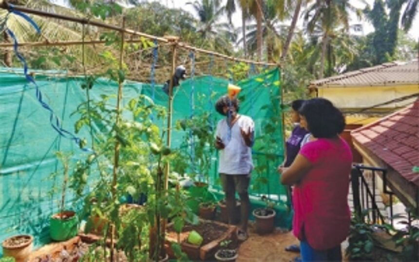 FOR SOME, HOME IS WHERE THE GARDEN IS