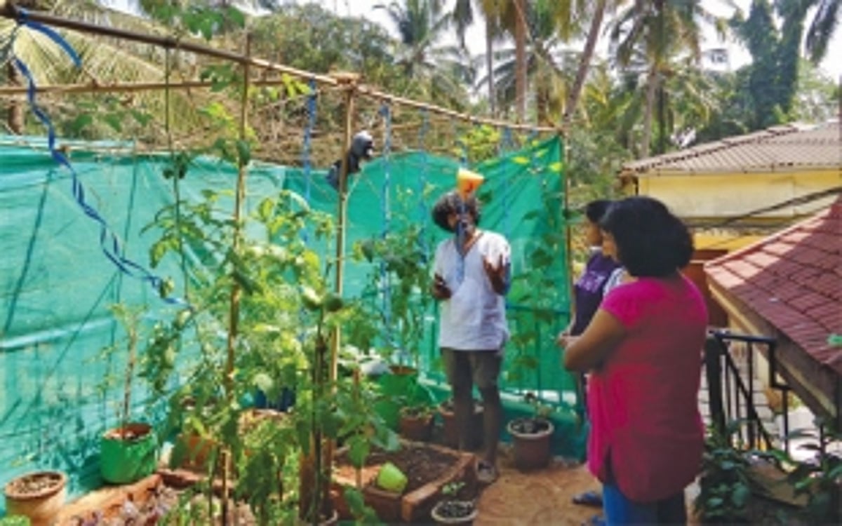 FOR SOME, HOME IS WHERE THE GARDEN IS