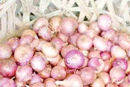 FPS owners want 3 kgs of onion as assured by Minister