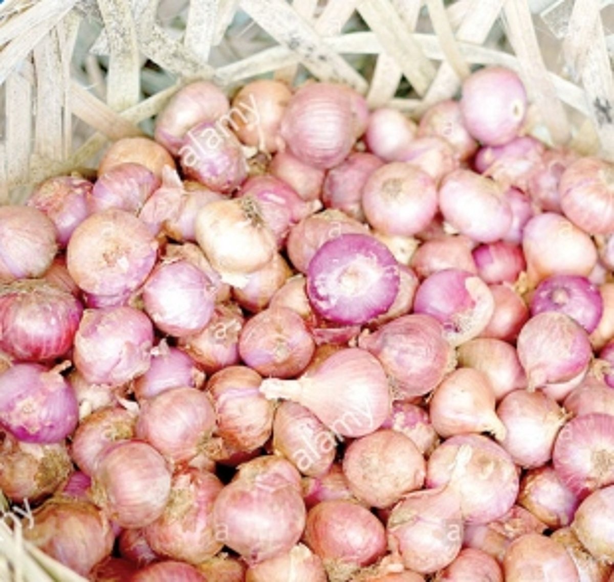 FPS owners want 3 kgs of onion as assured by Minister