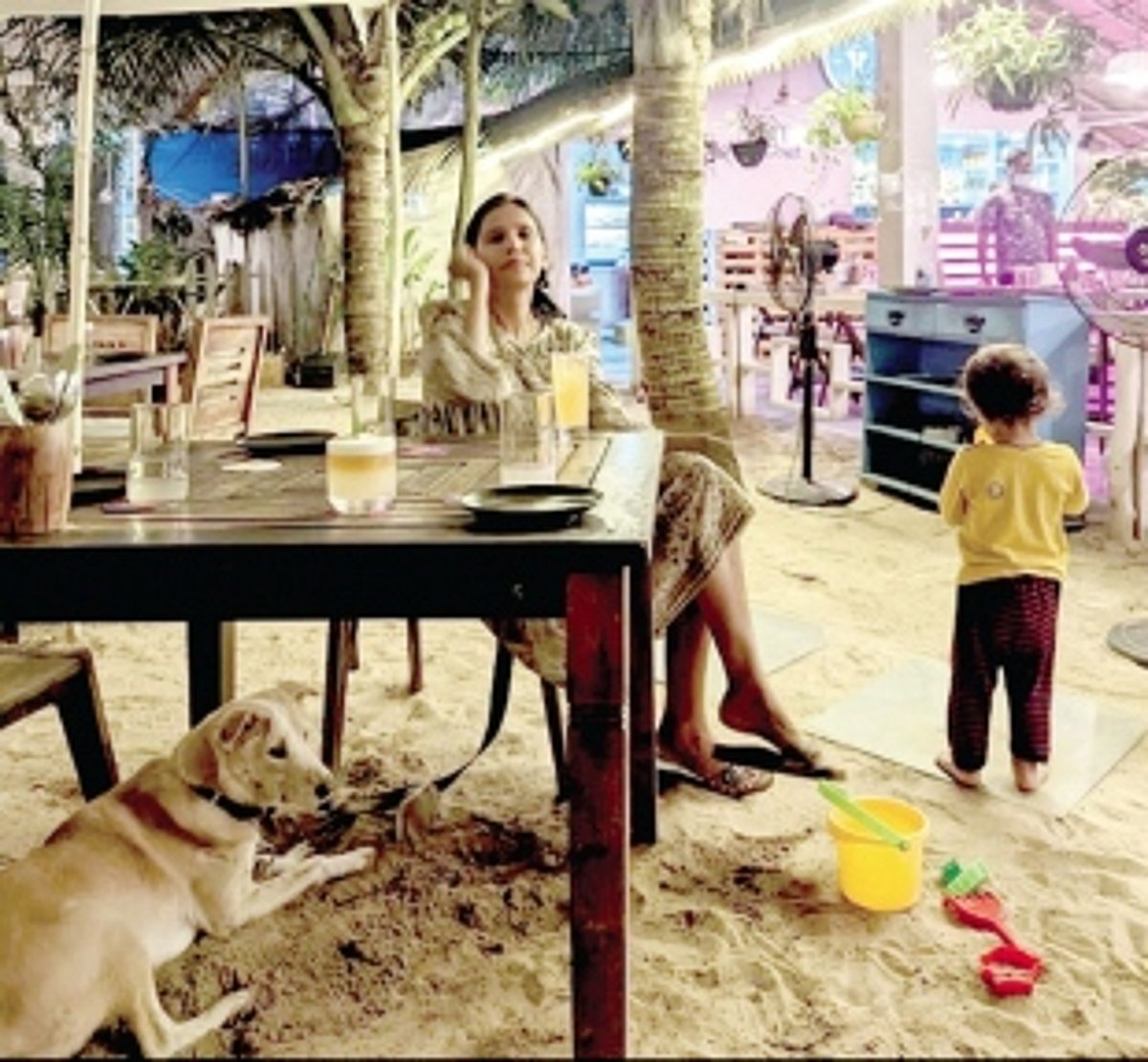 FUR BABIES now steal the hearts of the Goan crowd at Cafes