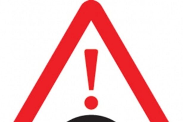 Faded marking on road humps endanger motorists in Arambol